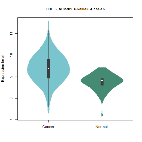 NUP205 _LIHC.png